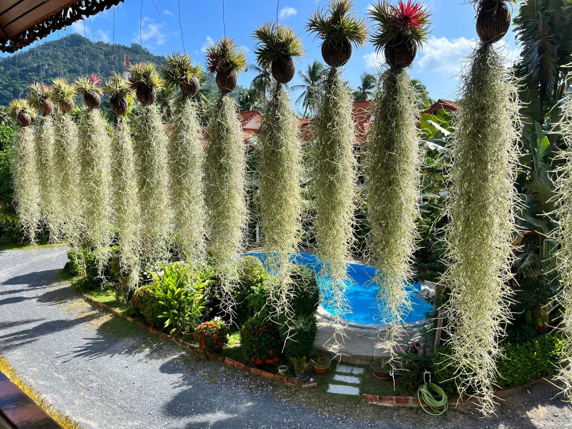 לאמאי ביץ' Amy Village Garden Resort מראה חיצוני תמונה